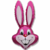 Bugs Bunny roosa