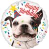 Happy birthday kutsikas